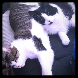 Meet your Posher, Chelsey